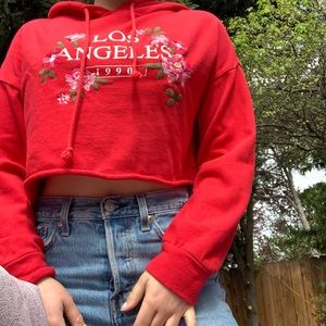 Los Angeles Cropped Hoodie